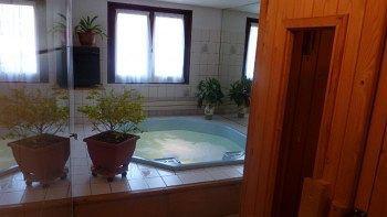 Hotel Alpina